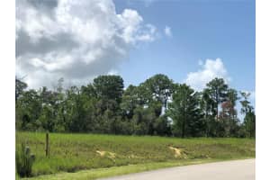 1005 Hawks Landing Dr, SEBRING