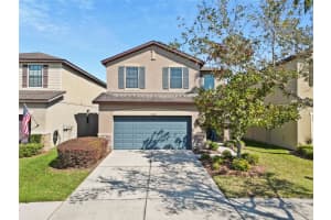 4502 Banyan Tree Pl, RIVERVIEW 4502 Banyan Tree Pl, RIVERVIEW