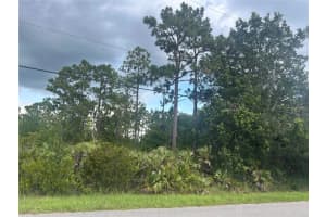 #38 Moorgate St, ORLANDO