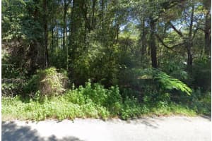 11575 Nw 17th Pl, OCALA