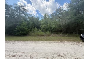 Tbd 98th St, DUNNELLON