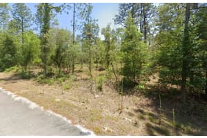 24262 Nw Aspen Lane, DUNNELLON