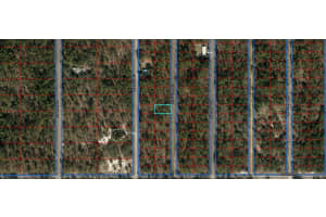00 Se 131 Ave, DUNNELLON