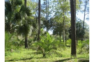 732 Quail Ave, SEBRING