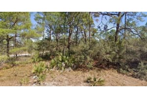 651 Jonathan St, LAKE PLACID