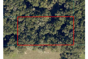 Undetermined, OCALA