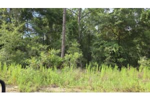 0 Sw 49th Pl, DUNNELLON