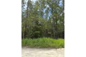 4500 Sw 175th Ct, DUNNELLON