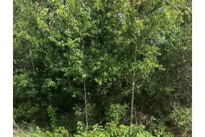 0 Nw 57 Th Avenue, OCALA