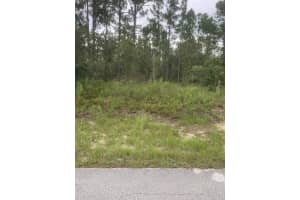 Sw Anchor. Lot 37 Blvd, DUNNELLON