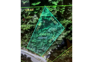 1229 Baltic Dr, POINCIANA 1229 Baltic Dr, POINCIANA