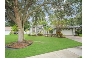 11911 Ottawa Ave, ORLANDO