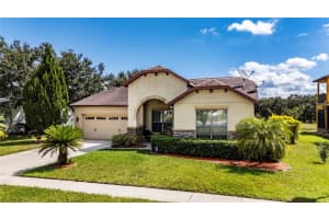 2920 Orangebud Dr, KISSIMMEE