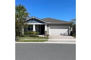 19812 Blue Pond Dr, LUTZ