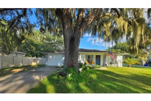 599 Magnolia Ridge Ave, TAVARES