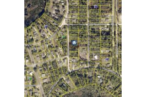 1155 6th Ave, DELAND 1155 6th Ave, DELAND
