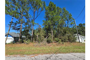 Lot 2 Sw 138th St, OCALA