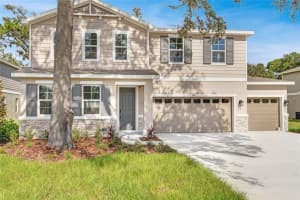 1050 Cloud Ridge Ct, MOUNT DORA 1050 Cloud Ridge Ct, MOUNT DORA
