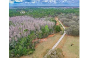 Duboise Dr, CLERMONT