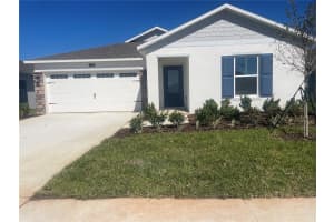 3480 Chinotto, LAKE ALFRED