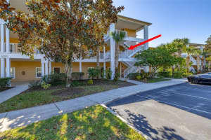 612 Rum Run #612, DAVENPORT 612 Rum Run #612, DAVENPORT