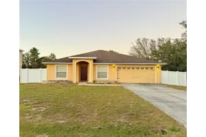 317 Puffer Ct, KISSIMMEE