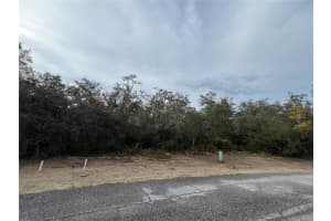 1633 Pickerel Ct, KISSIMMEE