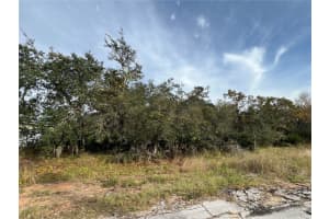 1205 Alafia Way, KISSIMMEE