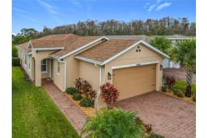 2009 Lazio Loop, POINCIANA