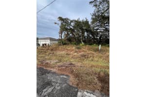 328 Alewife Ln, KISSIMMEE