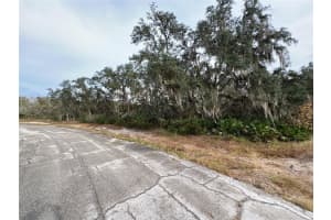 1251 Baltic Dr, KISSIMMEE 1251 Baltic Dr, KISSIMMEE