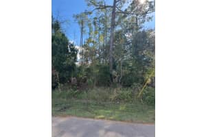 38 Sleepy Hollow Trl, PALM COAST