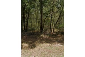 9231 N Sherman Dr, CITRUS SPRINGS