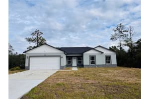 1310 Homosassa Dr, KISSIMMEE