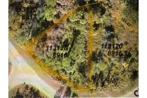 Custer Circle, NORTH PORT Custer Circle, NORTH PORT