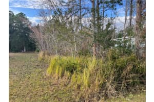 1425 Teal Dr, KISSIMMEE