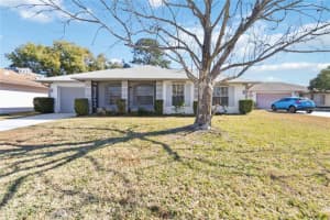 11407 Splitwood Ln, ORLANDO