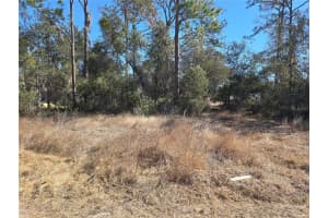 1344 Congo Ct, KISSIMMEE