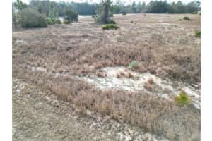 1319 Hillsborough Ln, KISSIMMEE