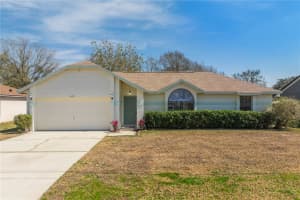 607 Tamarin Ln, KISSIMMEE