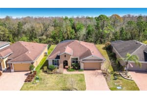 531 Via Vitale Ct, KISSIMMEE