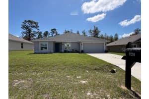 442 Big Black Pl, KISSIMMEE