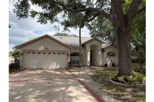 9508 Glenpointe Dr, RIVERVIEW