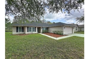 31249 Satinleaf Run, BROOKSVILLE