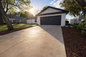 12216 Florida Woods Ln, ORLANDO