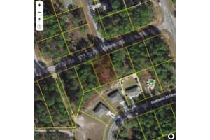 Sw 81 Circle, Ocala, OCALA