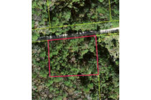 Lot 48 Amelia Trl, KISSIMMEE Lot 48 Amelia Trl, KISSIMMEE