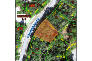 1229 Caribbean Dr, POINCIANA 1229 Caribbean Dr, POINCIANA