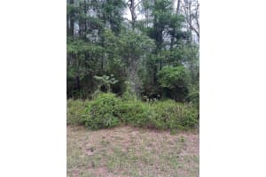 6265 N Allston Ter, DUNNELLON