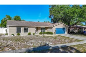 3729 Sand Pebble Dr, VALRICO